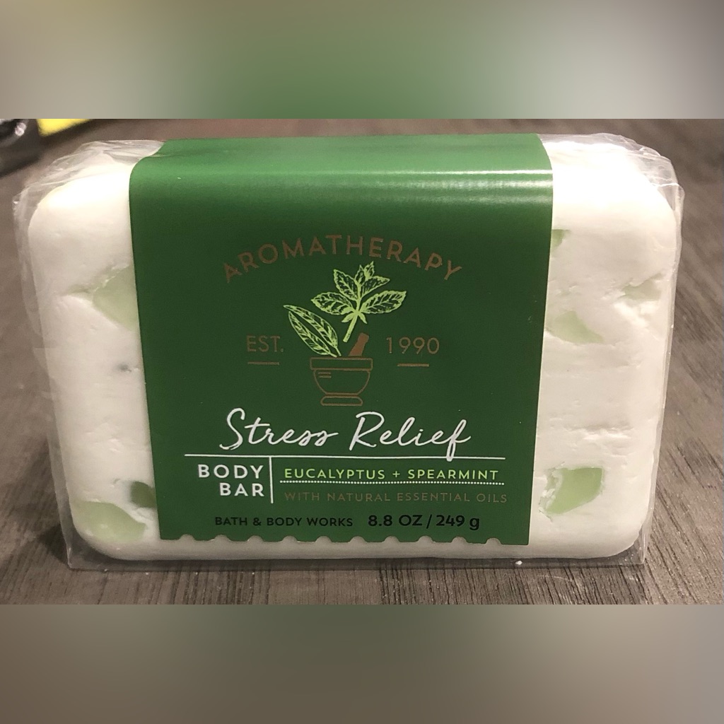Bath & Body Works Aromatherapy Eucalyptus Spearmint Fragrance Skincare Bath Bar